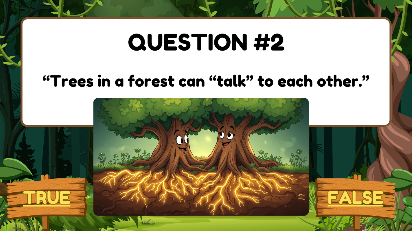 20 FUN FOREST TRIVIA TRUE or FALSE FACTS QUIZ FOR KIDS AGES 5-12(Parent Approved)