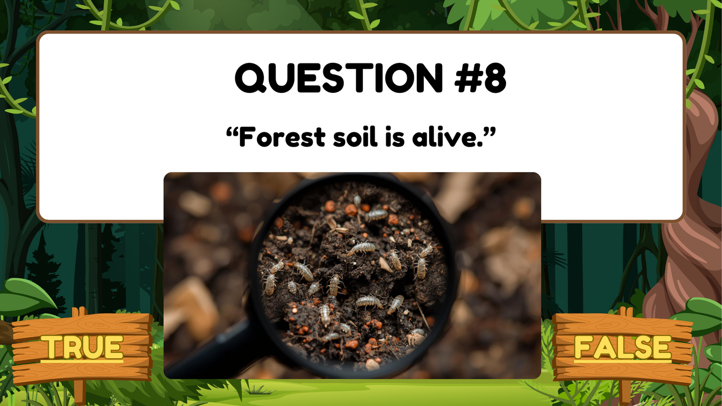20 FUN FOREST TRIVIA TRUE or FALSE FACTS QUIZ FOR KIDS AGES 5-12(Parent Approved)