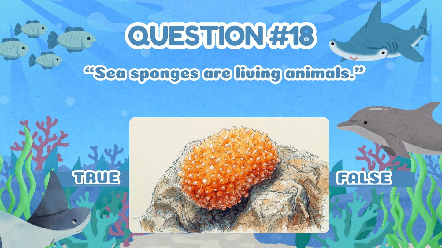 20 FUN OCEAN TRUE OR FALSE TRIVIA QUIZ FOR KIDS AGES 5-12(Parent Approved)
