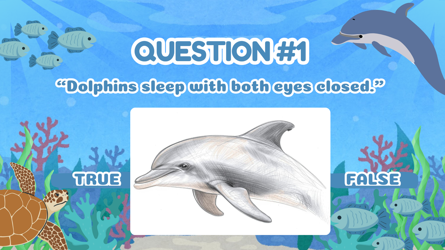 20 FUN OCEAN TRUE OR FALSE TRIVIA QUIZ FOR KIDS AGES 5-12(Parent Approved)
