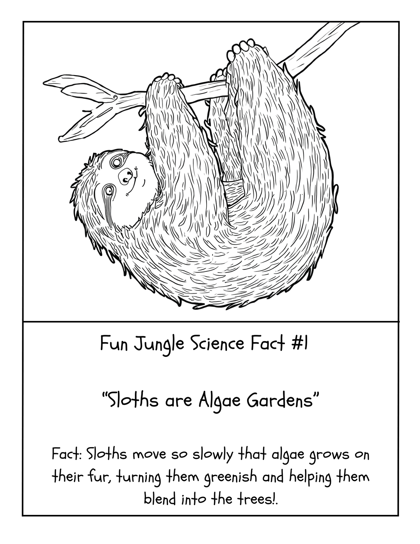 20 FUN JUNGLE SCIENCE FACTS COLORING BOOK (Print Ready For Ages 5-12 Parent Approved)