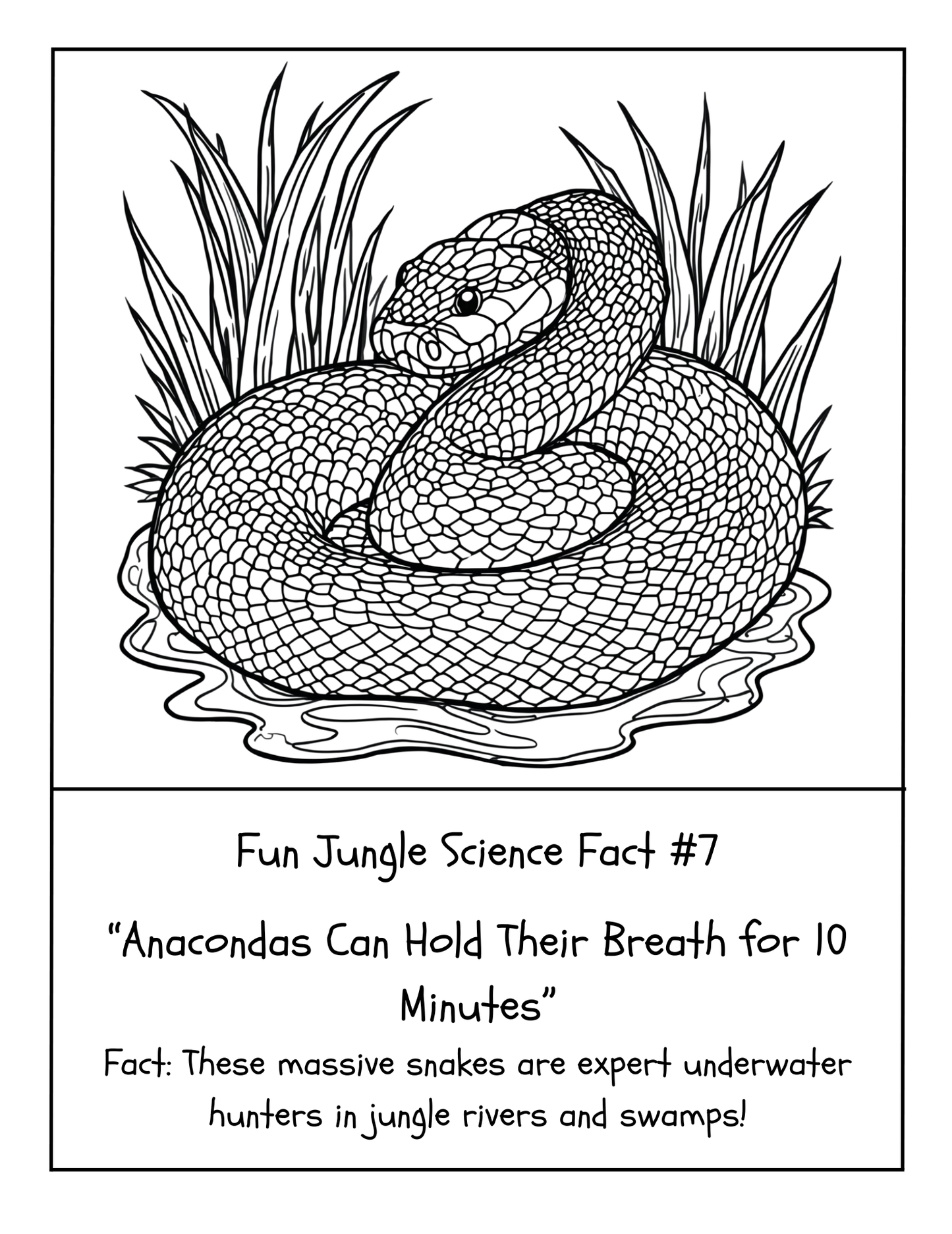 20 FUN JUNGLE SCIENCE FACTS COLORING BOOK (Print Ready For Ages 5-12 Parent Approved)