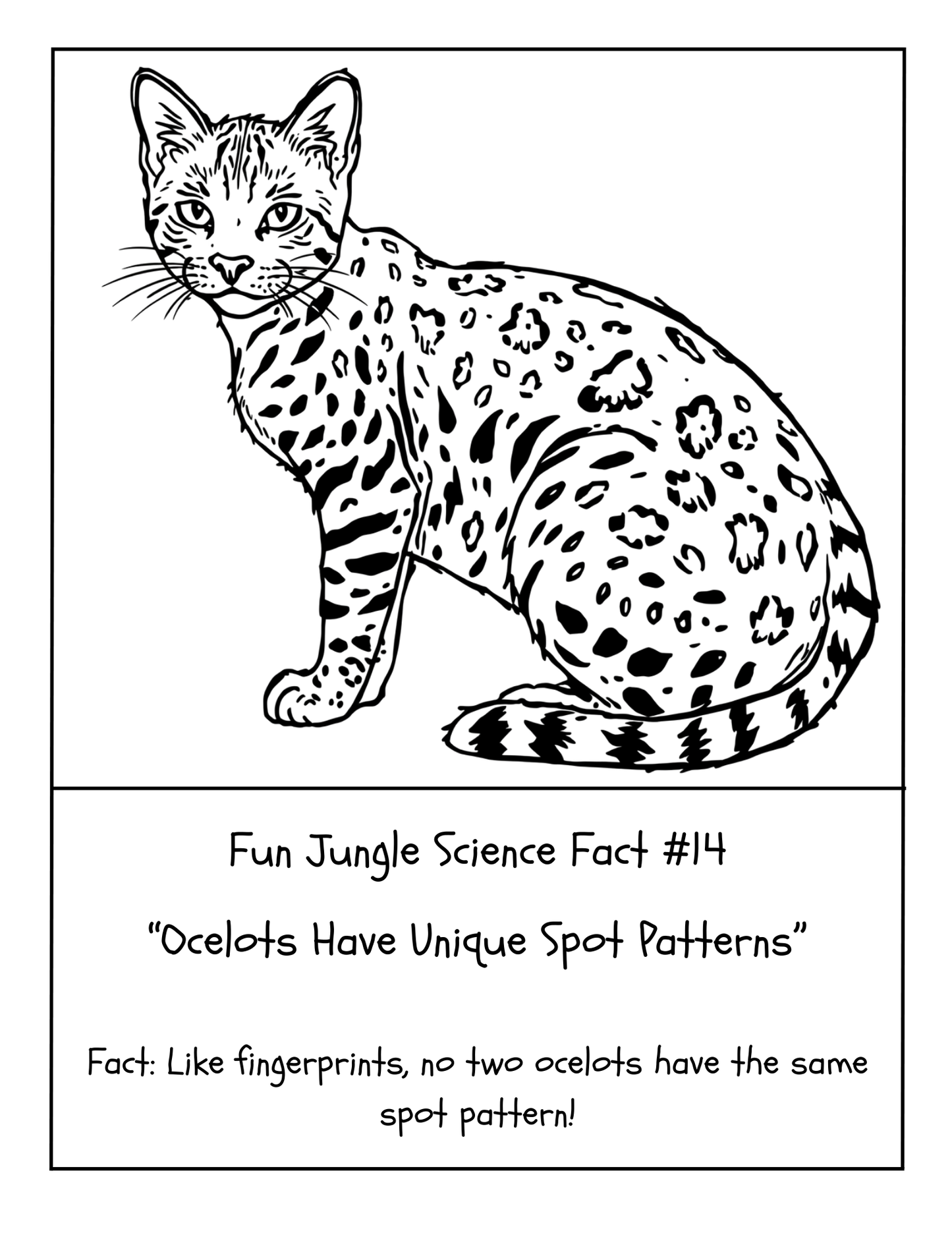 20 FUN JUNGLE SCIENCE FACTS COLORING BOOK (Print Ready For Ages 5-12 Parent Approved)