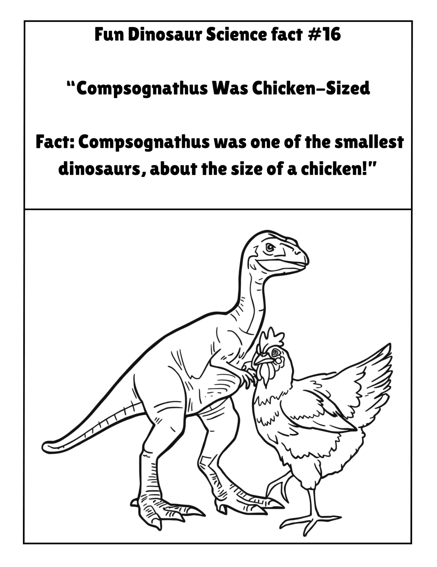 20 FUN DINOSAUR SCIENCE FACTS COLORING BOOK (Print Ready For Ages 5-12 Parent Approved)