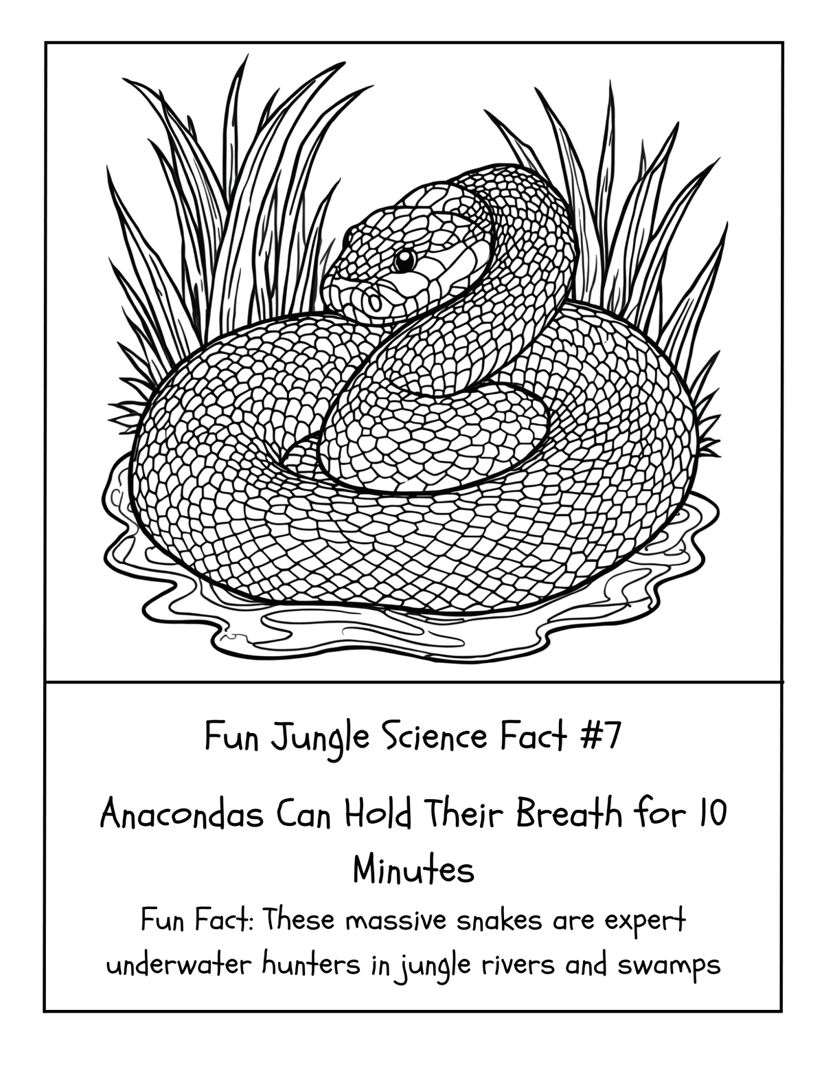 THE EXPLORERS COLORING BOOK COLLECTION ADVENTURE