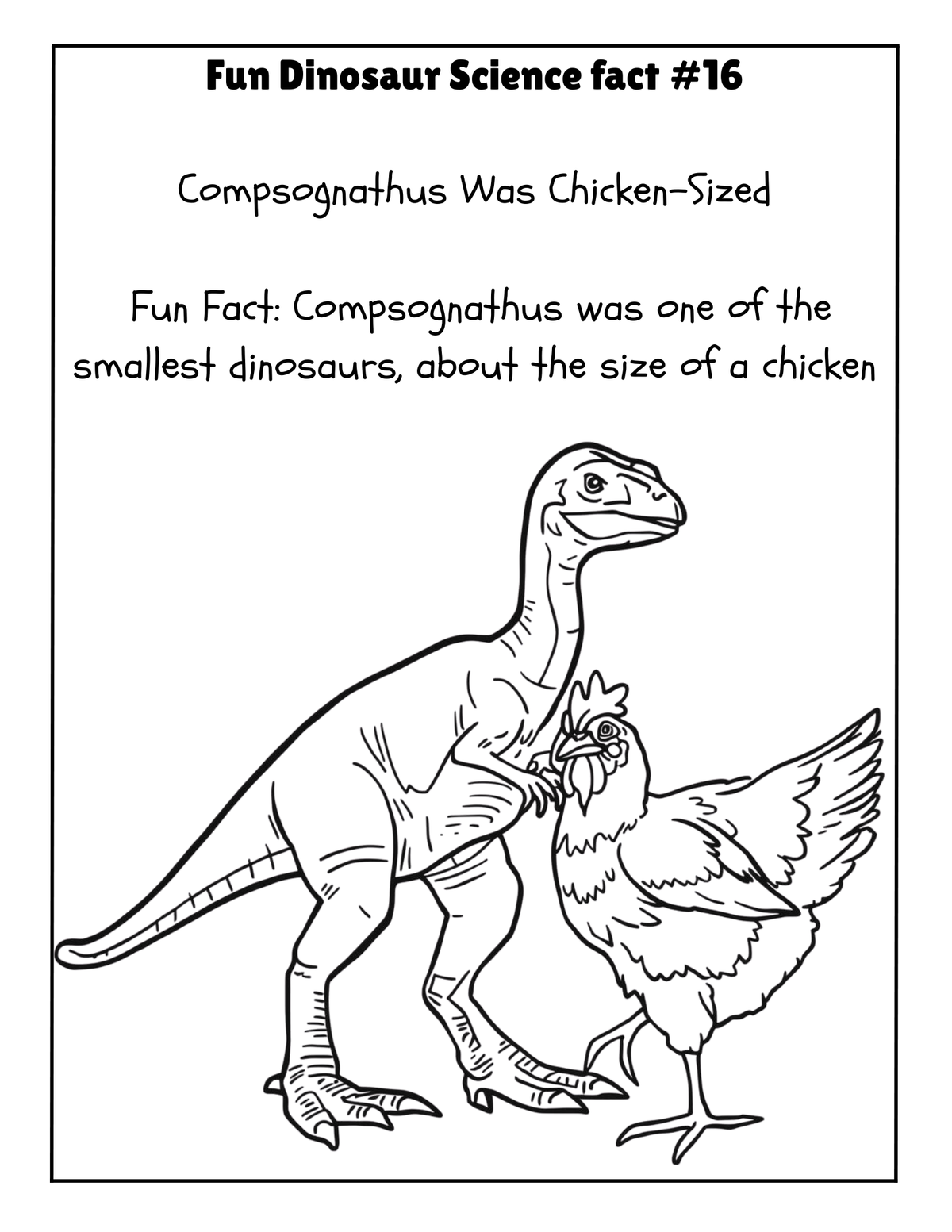 THE EXPLORERS COLORING BOOK COLLECTION ADVENTURE