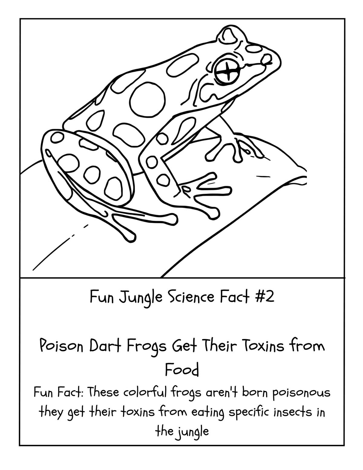 THE EXPLORERS COLORING BOOK COLLECTION ADVENTURE