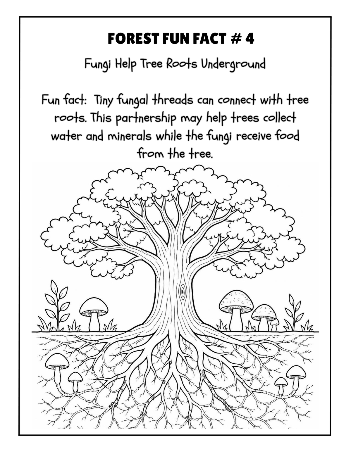 THE EXPLORERS COLORING BOOK COLLECTION ADVENTURE
