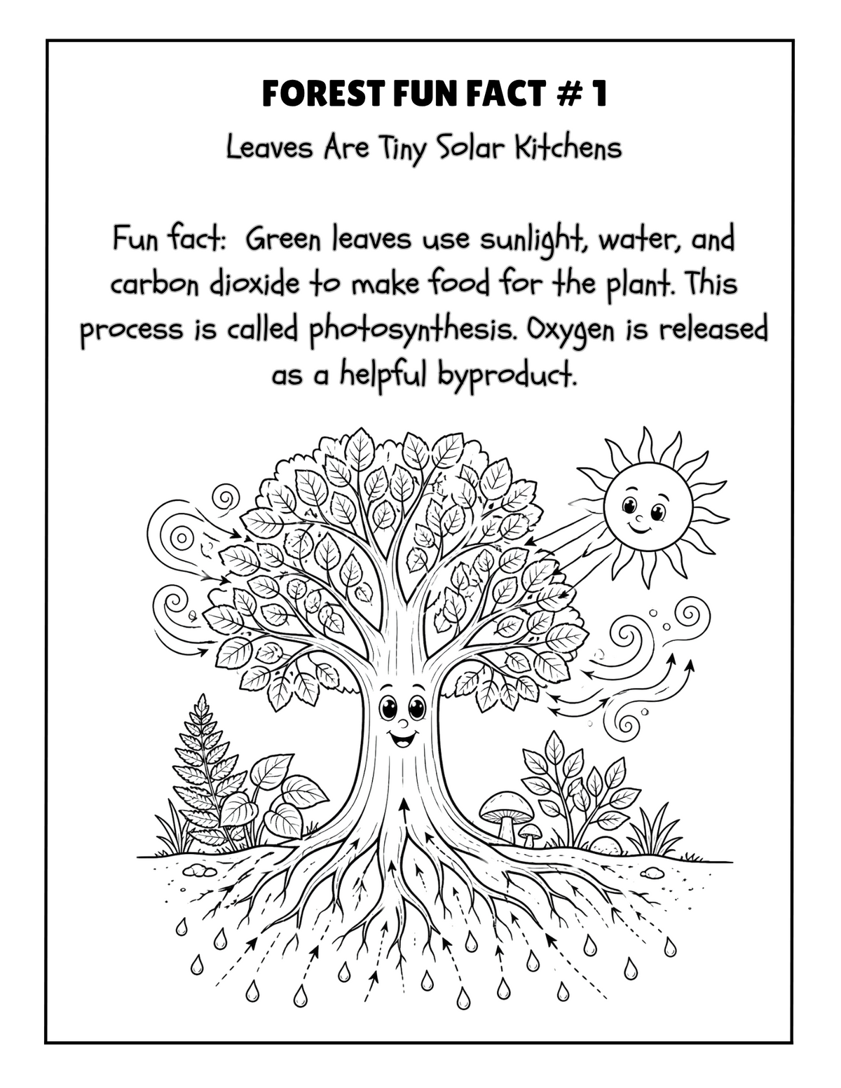 THE EXPLORERS COLORING BOOK COLLECTION ADVENTURE