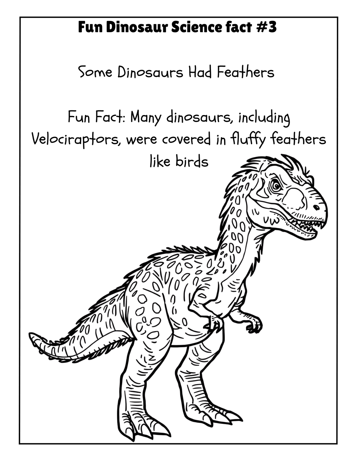 THE EXPLORERS COLORING BOOK COLLECTION ADVENTURE