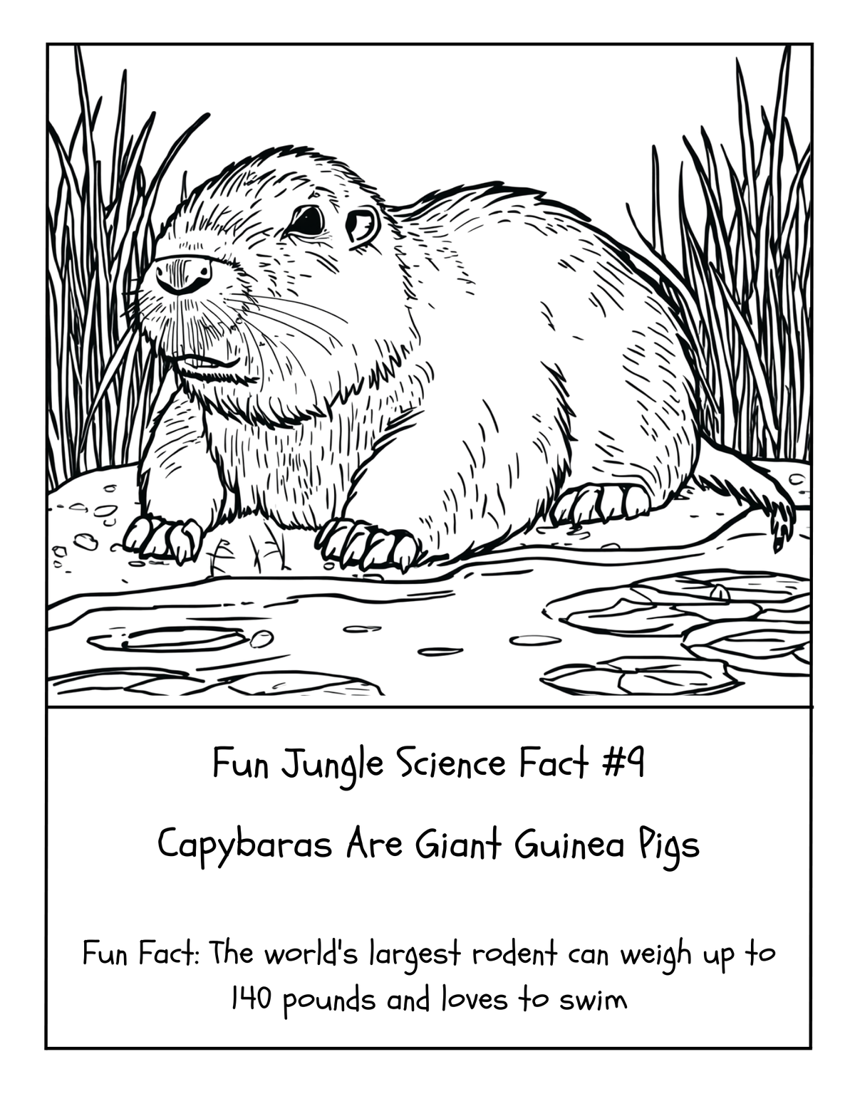 THE EXPLORERS COLORING BOOK COLLECTION ADVENTURE