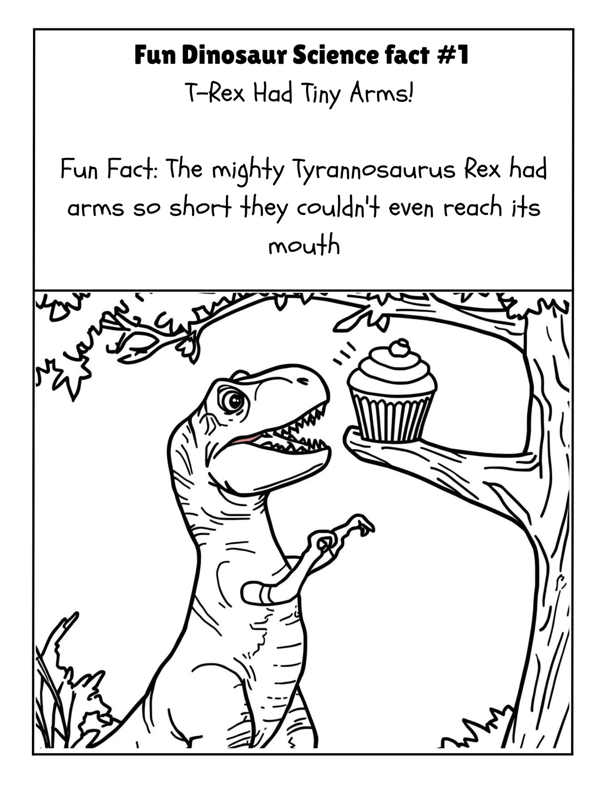 THE EXPLORERS COLORING BOOK COLLECTION ADVENTURE