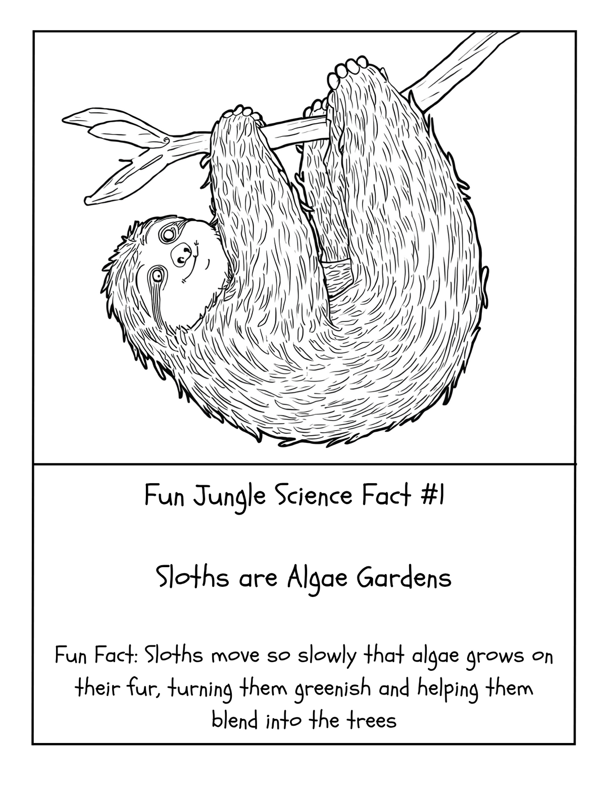 THE EXPLORERS COLORING BOOK COLLECTION ADVENTURE