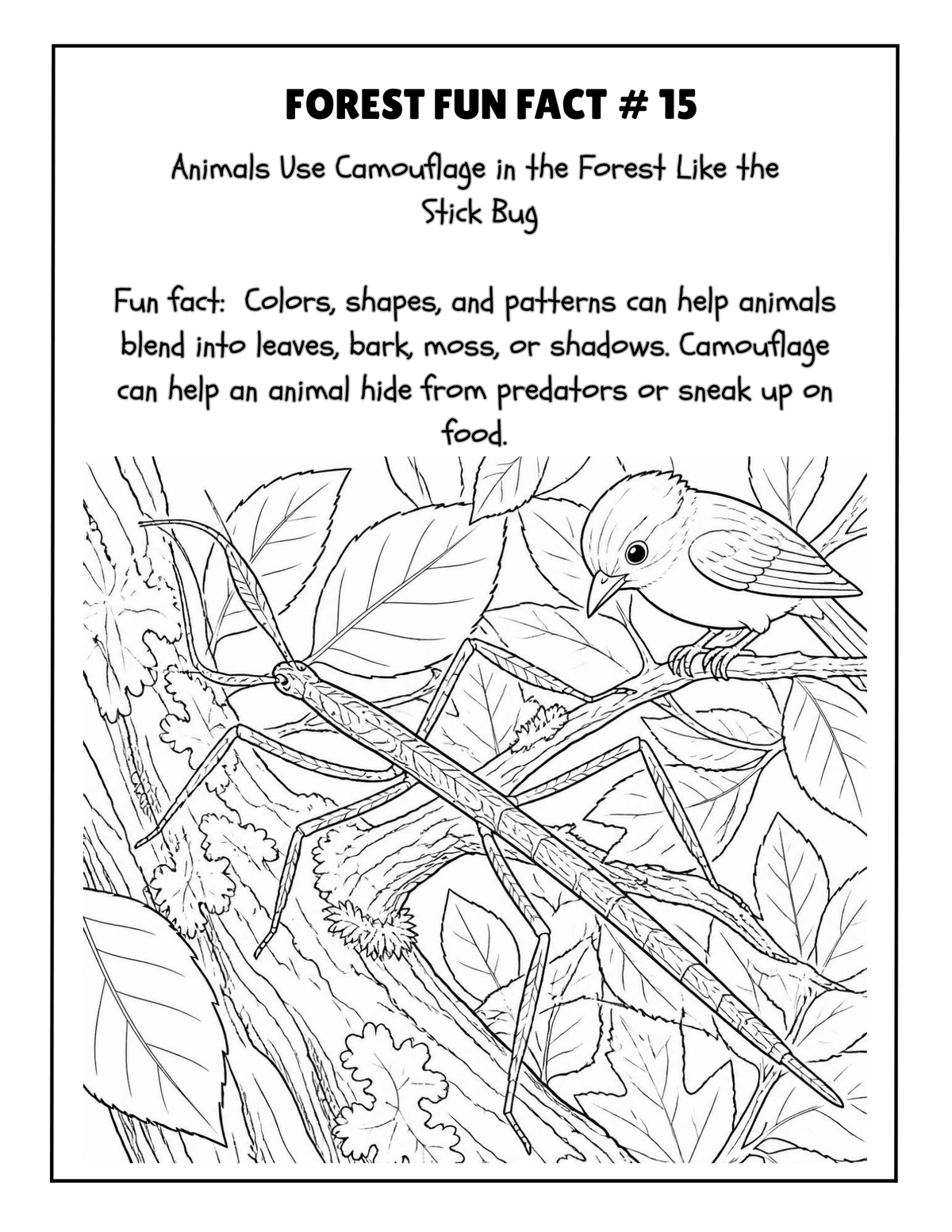 THE EXPLORERS COLORING BOOK COLLECTION ADVENTURE