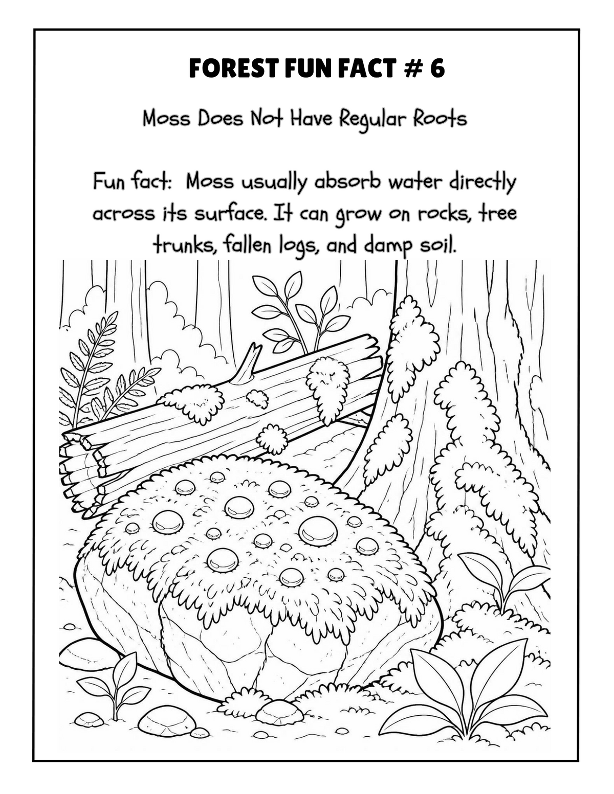 THE EXPLORERS COLORING BOOK COLLECTION ADVENTURE