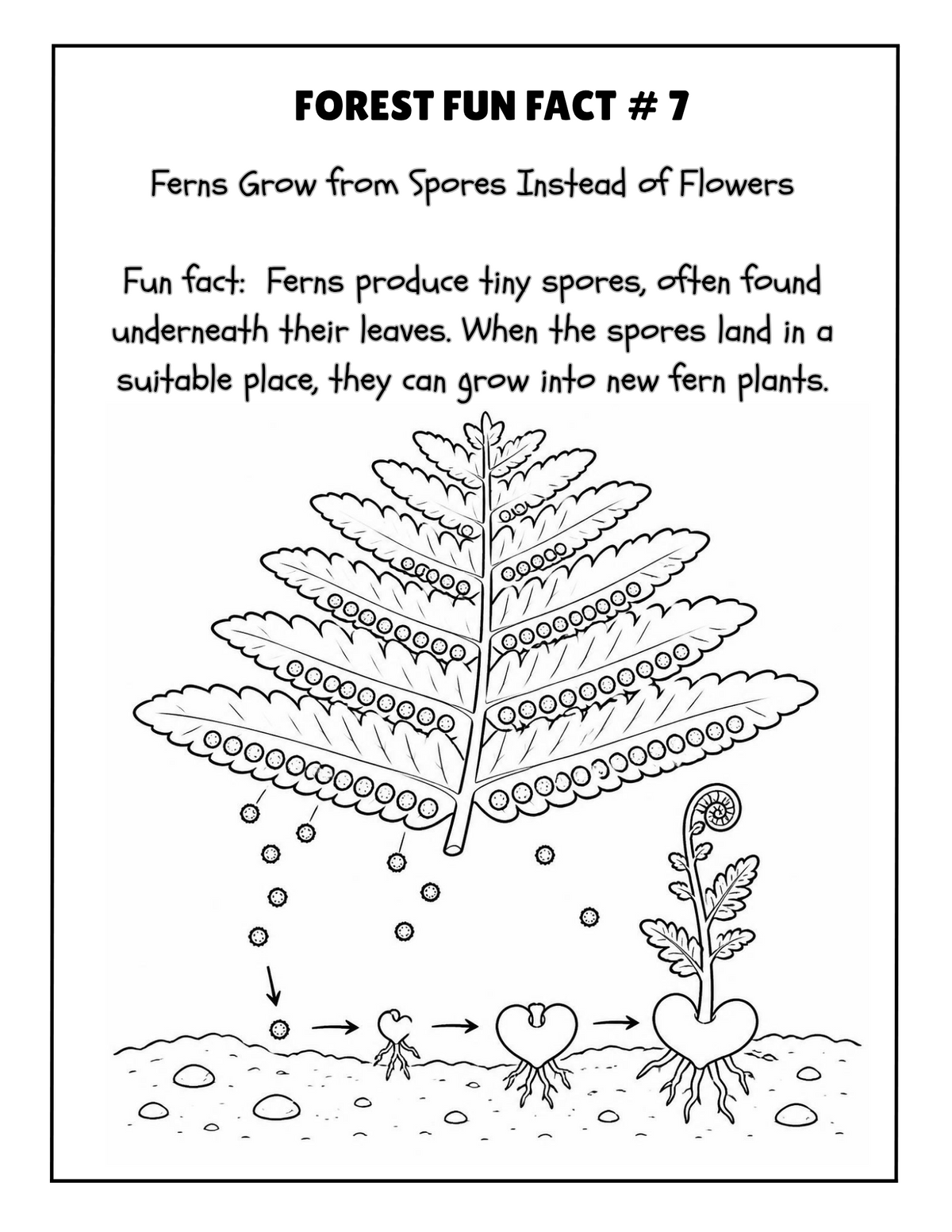 THE EXPLORERS COLORING BOOK COLLECTION ADVENTURE