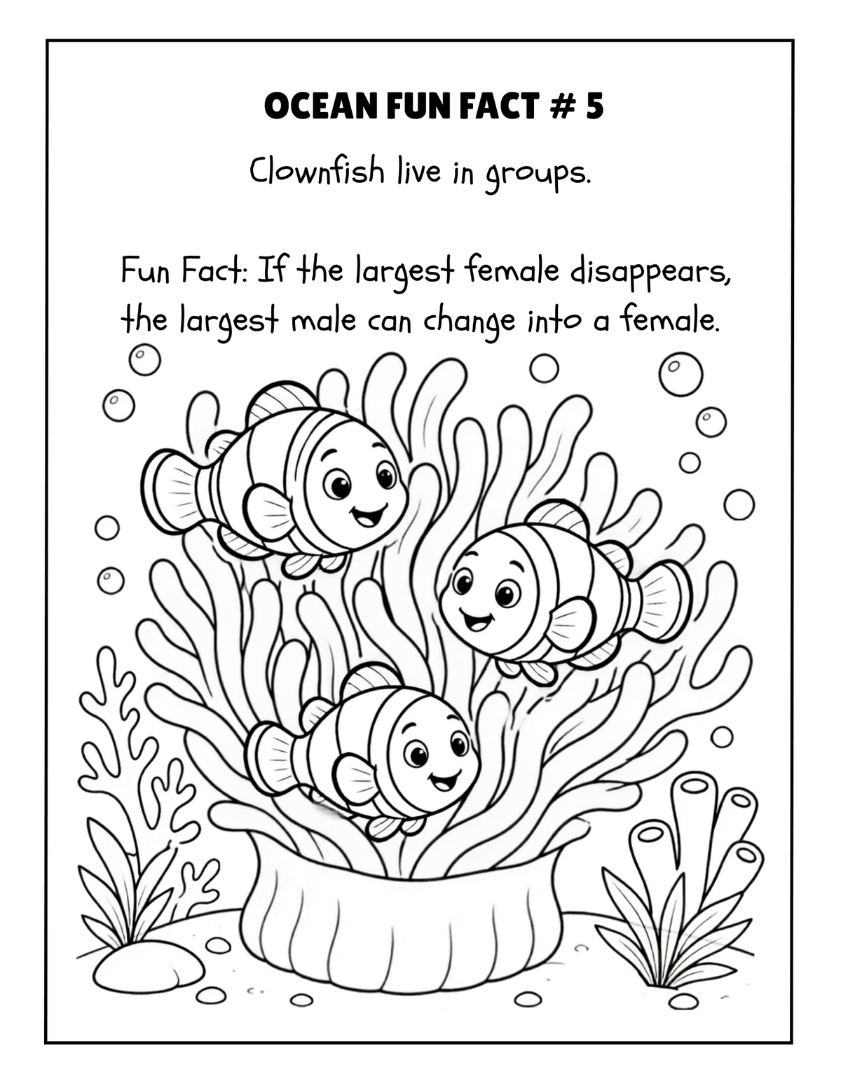 THE EXPLORERS COLORING BOOK COLLECTION ADVENTURE
