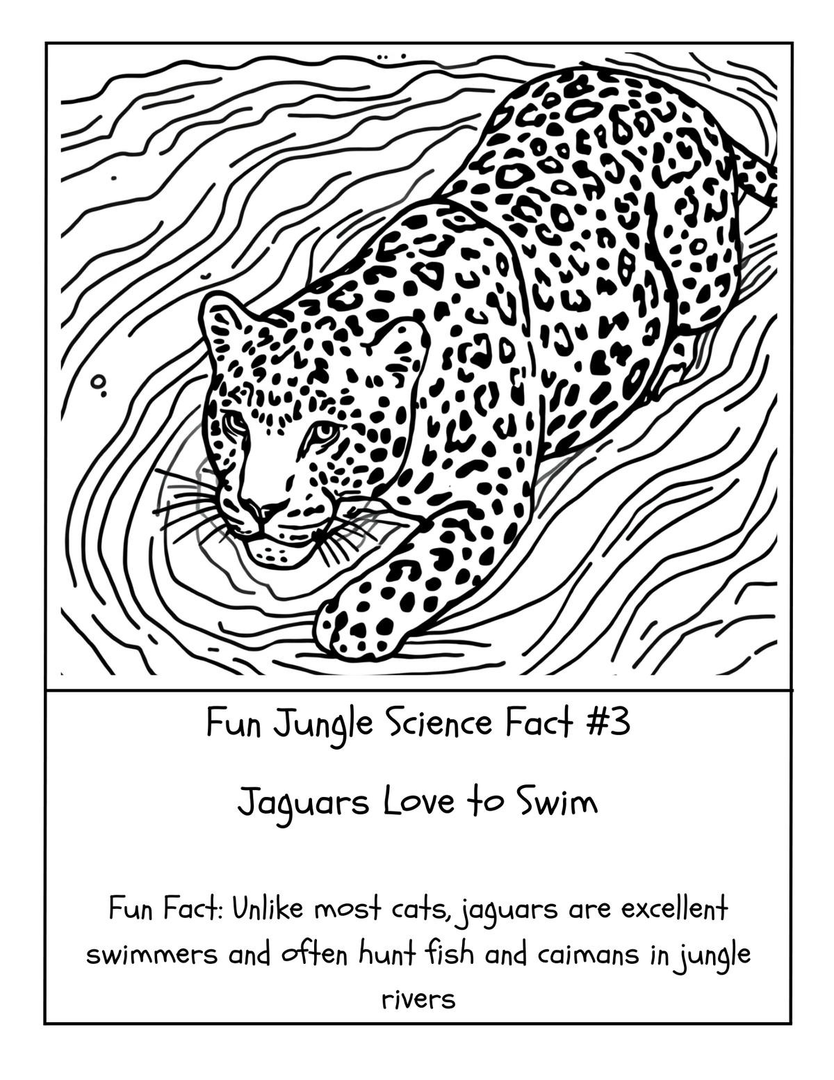 THE EXPLORERS COLORING BOOK COLLECTION ADVENTURE
