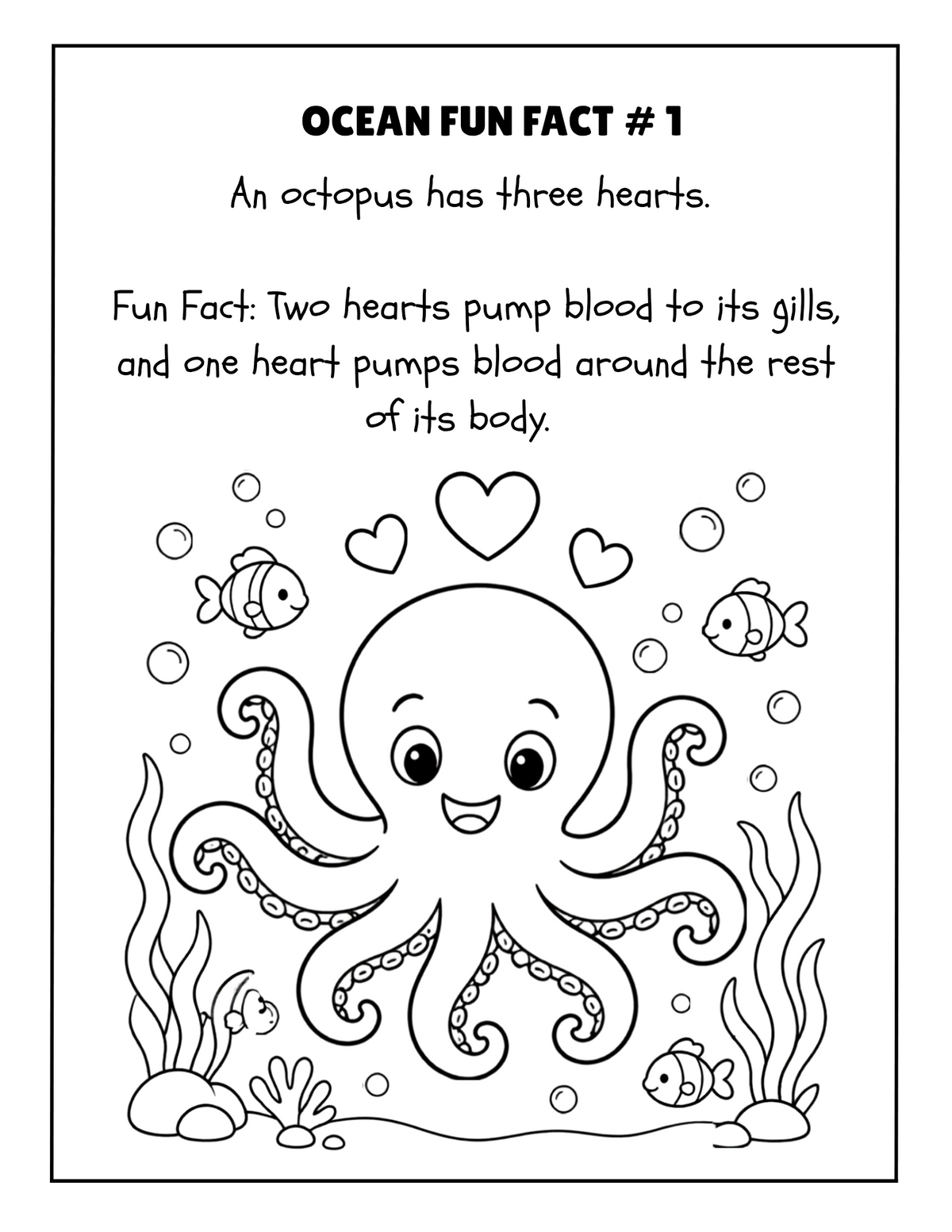 THE EXPLORERS COLORING BOOK COLLECTION ADVENTURE