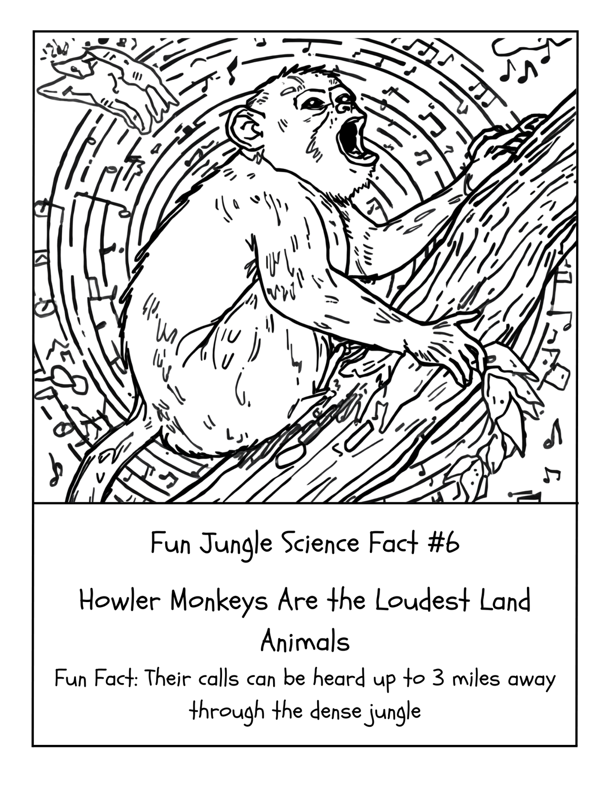 THE EXPLORERS COLORING BOOK COLLECTION ADVENTURE