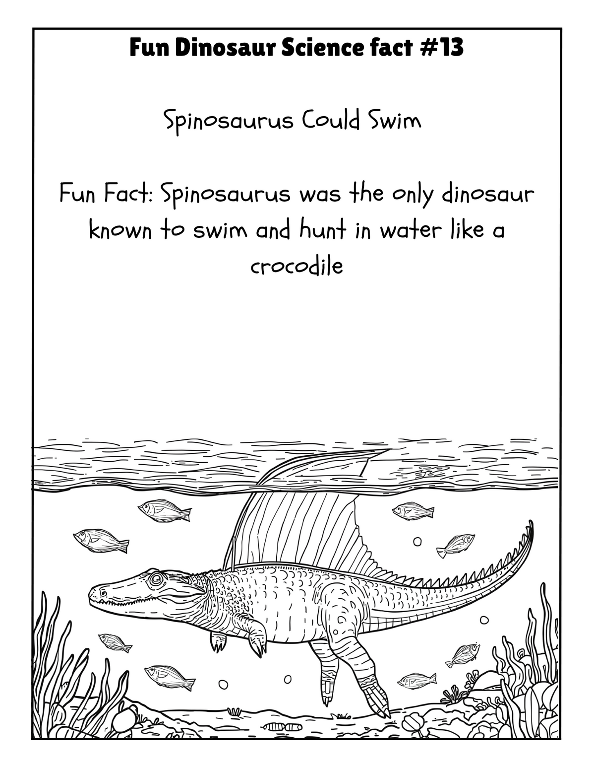 THE EXPLORERS COLORING BOOK COLLECTION ADVENTURE