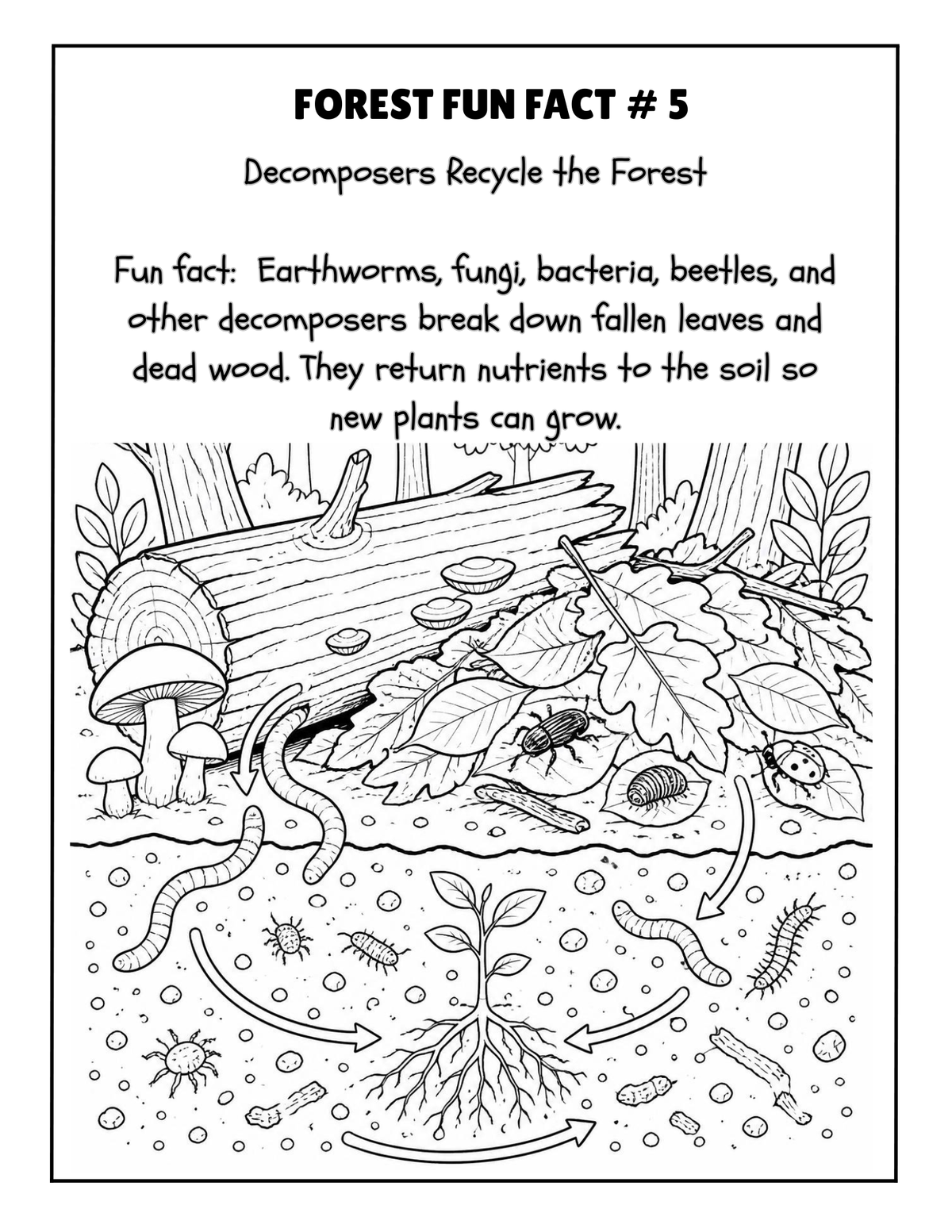 THE EXPLORERS COLORING BOOK COLLECTION ADVENTURE