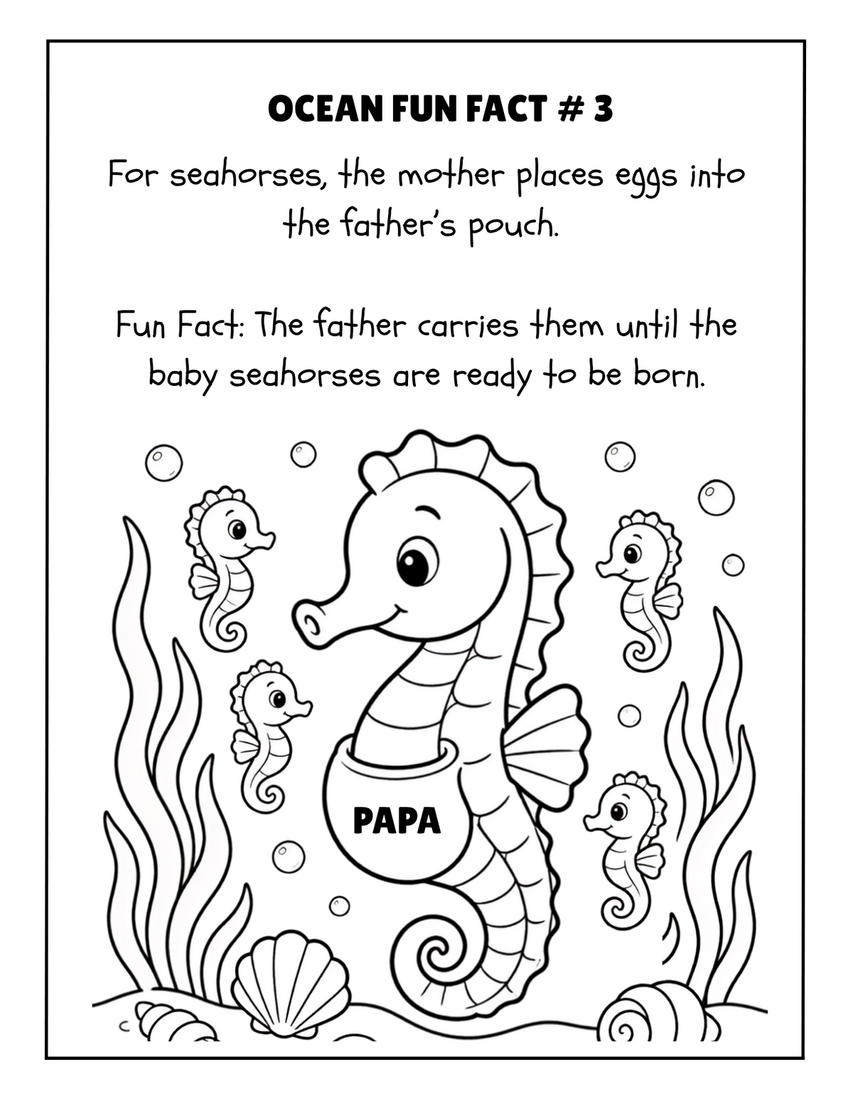 THE EXPLORERS COLORING BOOK COLLECTION ADVENTURE