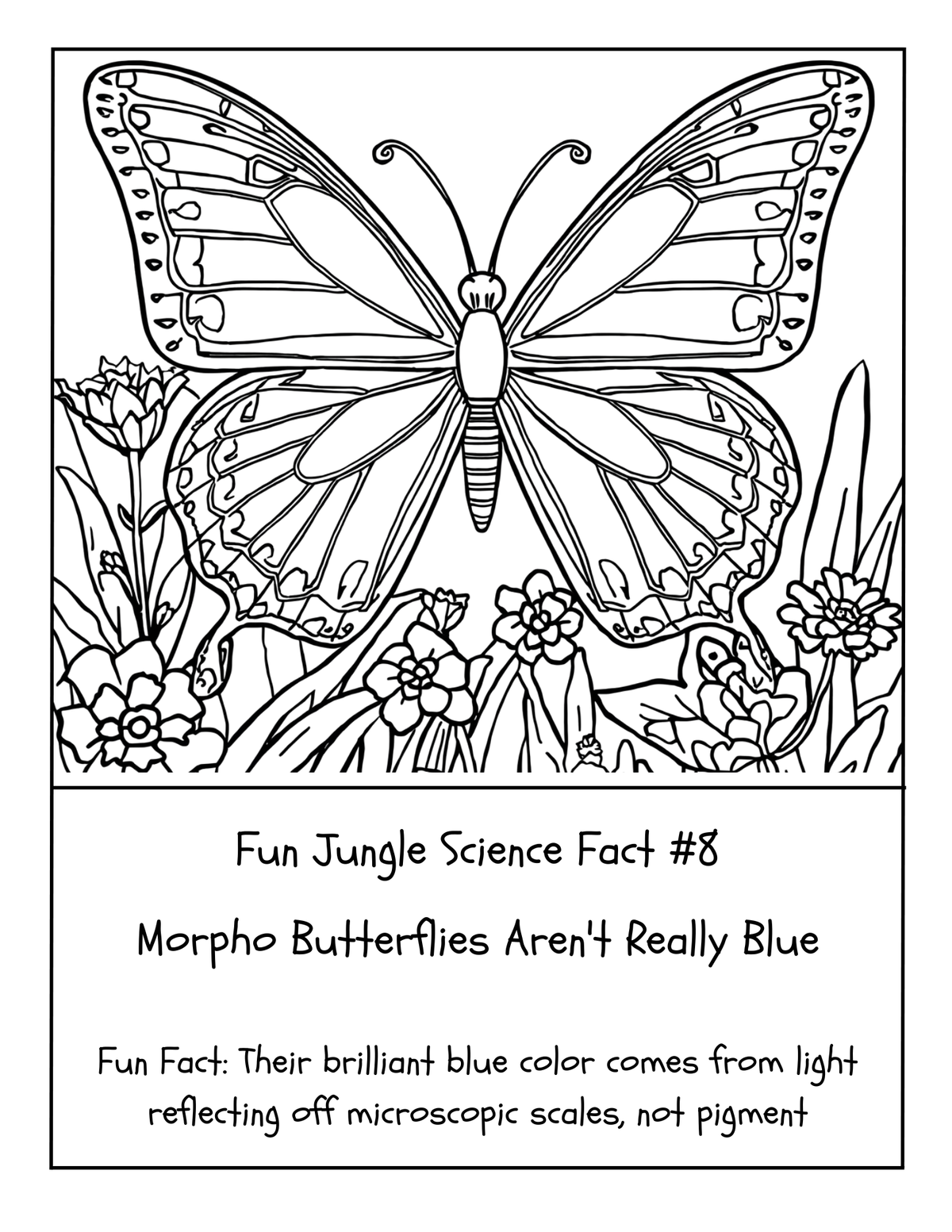 THE EXPLORERS COLORING BOOK COLLECTION ADVENTURE