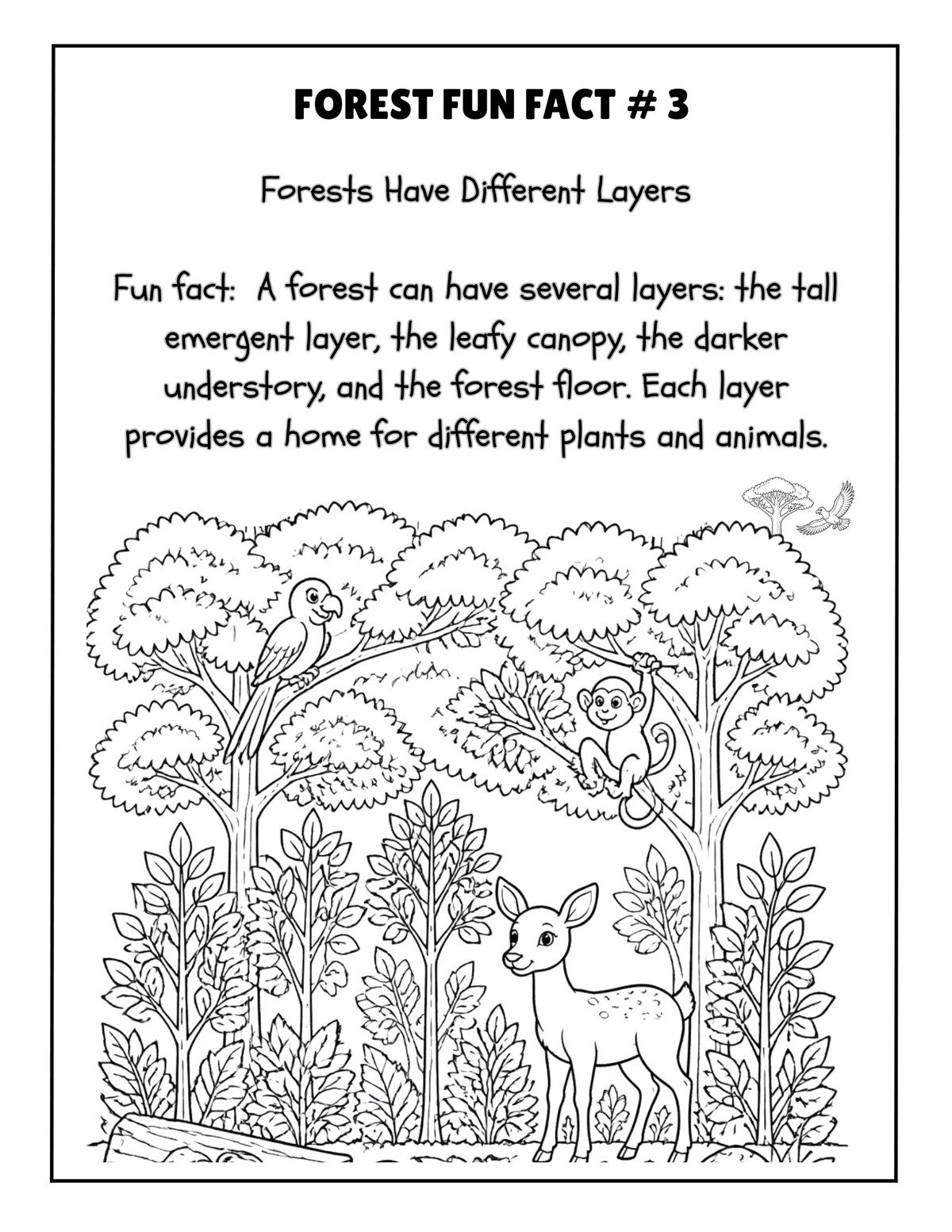 THE EXPLORERS COLORING BOOK COLLECTION ADVENTURE